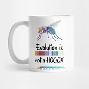 Evolution is not a hoax Hox Genes Similarities Housefly and centipede Mug